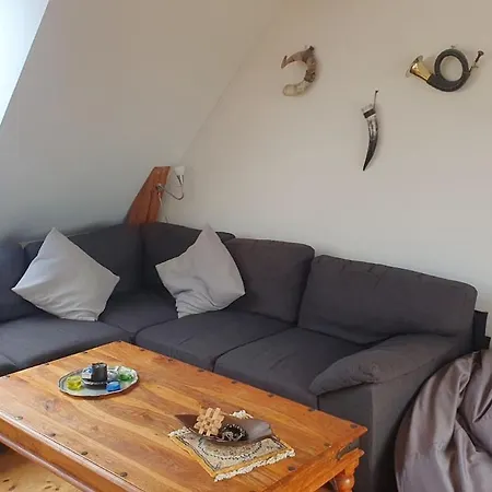 Sunny & Charming Loft With Terrace * København