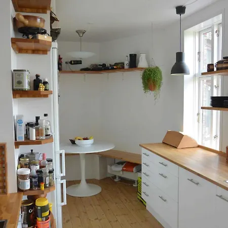 Sunny & Charming Loft With Terrace København